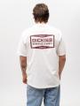 Koszulka Z Krótkim Rękawem Męska Biała Dickies Bolivar